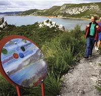 Rocky Cape National Park - Accommodation Gold Coast