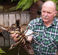 Lobster Ponds - Accommodation Gold Coast