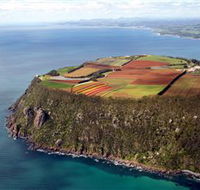 Table Cape - Accommodation Gold Coast