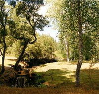 Oldina Picnic Area - Accommodation Gold Coast