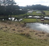 Guide Falls Farm - Accommodation Gold Coast