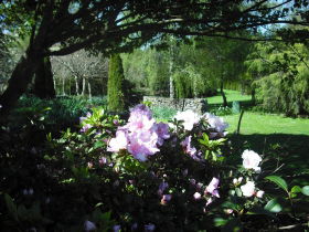 Annsleigh Gardens And Cafe - Accommodation Gold Coast 3