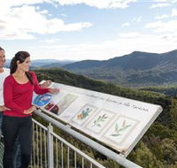 Whyte Hills Lookout - Accommodation Gold Coast