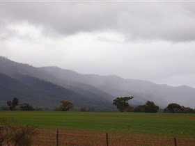 Denham Farm Beef And Lamb - Accommodation Gold Coast 2