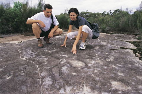 Sydney Coast Walks - Accommodation Gold Coast 3