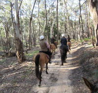 Silver Brumby Trails - Accommodation Gold Coast