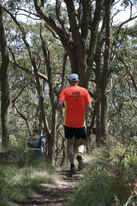 Fit Tours - 1 Gold Coast 11