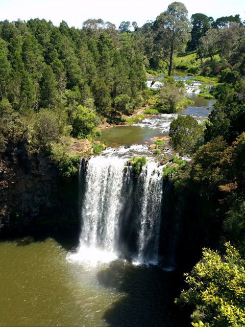 A1 Coffs Coast Tours - Accommodation Gold Coast 6