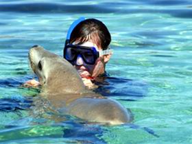 Gawler Ranges Wilderness Safaris - Accommodation Gold Coast 2