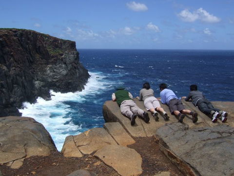 Out Of Sight Tours - Accommodation Gold Coast 1