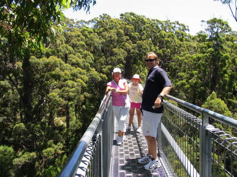 Out Of Sight Tours - Accommodation Gold Coast 14