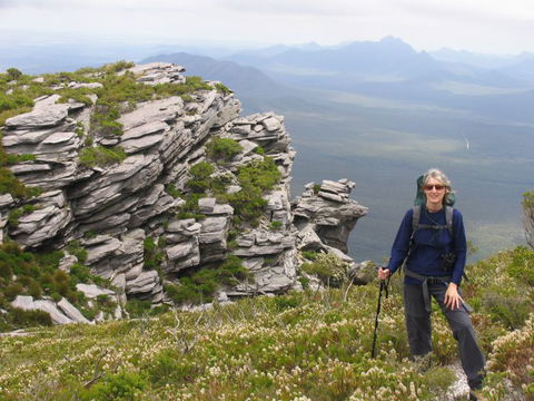 Out Of Sight Tours - Accommodation Gold Coast 19
