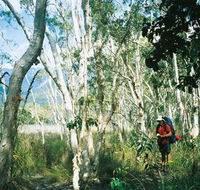 Thorsborne Trail Hinchinbrook Island National Park - 1 Gold Coast