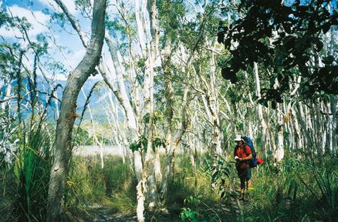 Thorsborne Trail, Hinchinbrook Island National Park - 1 Gold Coast 1