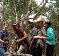 Echidna Walkabout Nature Tours - Accommodation Gold Coast