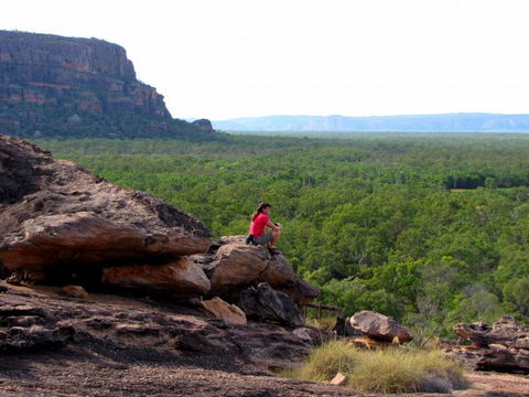 Echidna Walkabout Nature Tours - 1 Gold Coast 21