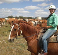 Myella Farm Stay Tours - Accommodation Gold Coast