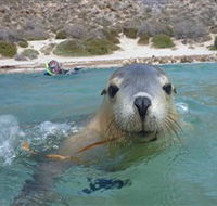 Calypso Star Charters - Accommodation Gold Coast