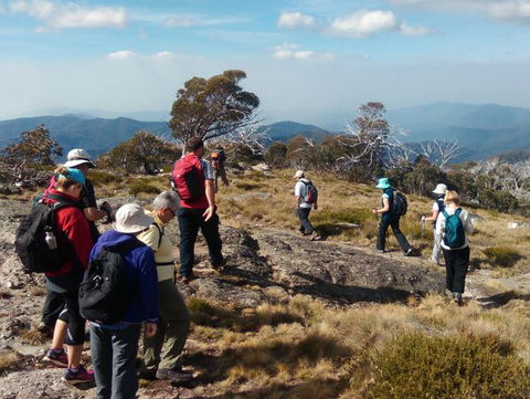 Hedonistic Hiking - 1 Gold Coast 0