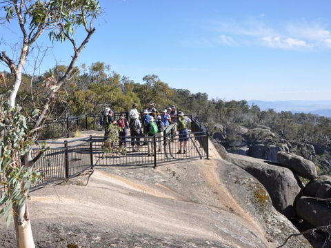 Hedonistic Hiking - 1 Gold Coast 1