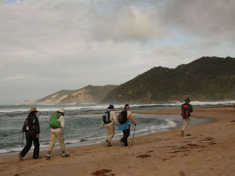 Hedonistic Hiking - 1 Gold Coast 2