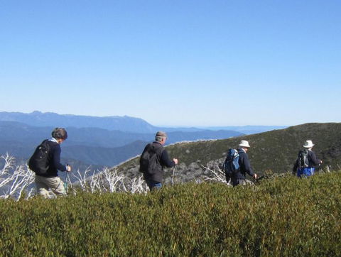 Hedonistic Hiking - 1 Gold Coast 6