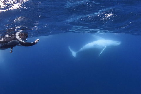 Sunreef Mooloolaba - Accommodation Gold Coast 2