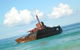 Port Stephens 4WD Tours - thumb 14