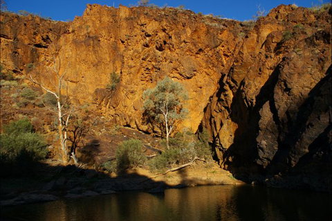 Aussie Heritage Tours - Accommodation Gold Coast 8