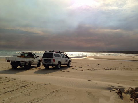 Tasmanian Offroad Adventures - Accommodation Gold Coast 0