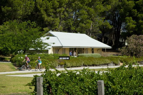 Tour De Vines - Accommodation Gold Coast 1