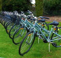 Barossa Bike  - Accommodation Gold Coast
