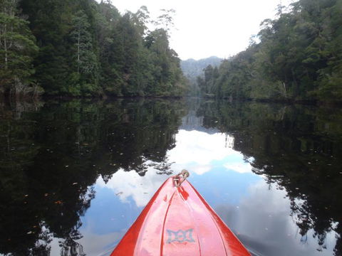 King River Rafting - Accommodation Gold Coast 1