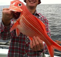 Goin' Off Safaris - Accommodation Gold Coast