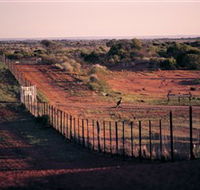 Tri State Safaris - Accommodation Gold Coast