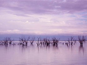 Tri State Safaris - Accommodation Gold Coast 8