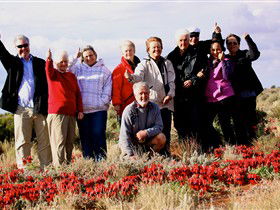 Tri State Safaris - Accommodation Gold Coast 15