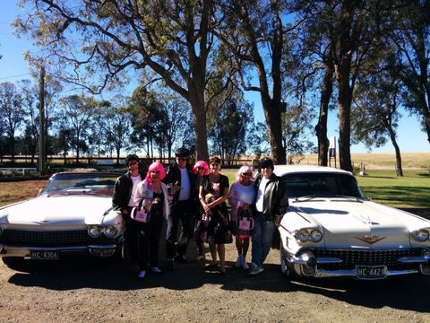 Hunter Valley Cadillacs - Accommodation Gold Coast 1