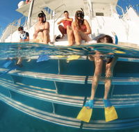 Australian Sunset Safaris - Accommodation Gold Coast
