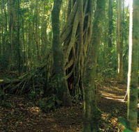 Tullawallal circuit - Accommodation Gold Coast