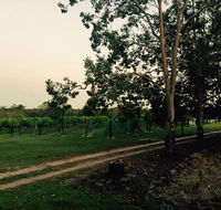 Brierley Wines - Accommodation Gold Coast