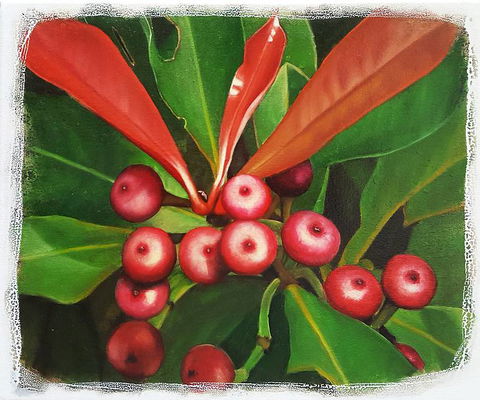 Claire Souter Gallery - Gold Coast 4U 2