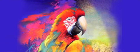 Tina Cooper Gallery - Accommodation Gold Coast 2