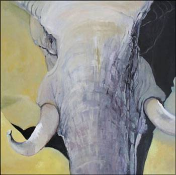 Bright Madge - Accommodation Gold Coast 1