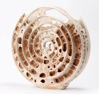 Noosa Regional Gallery - Accommodation Gold Coast