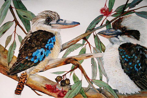 Two Birds Gallery - 1 Gold Coast 3