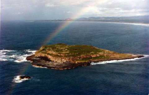 Kirra Dive “On The Tweed” - Accommodation Gold Coast 2