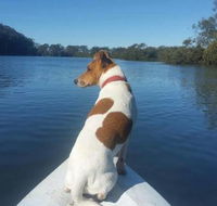Australis Canoes  Kayaks - 1 Gold Coast