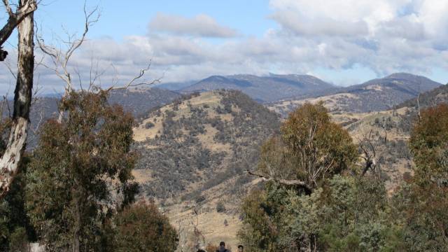 Paddys River NSW Accommodation Gold Coast