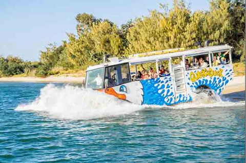Quackr Duck - Accommodation Gold Coast 1